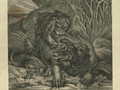 Мартин Элиас Ридингер по рисунку Иоганна Элиаса Ридингера
Бегемот и лев. Лист из цикла «Схватки хищников»
Рудольшадт (Германия), 1761
Бумага, офорт, резец
50,5 х 35,0